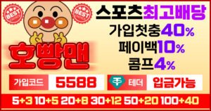 Read more about the article 호빵맨토토에서 배운 베팅의 진짜 가치